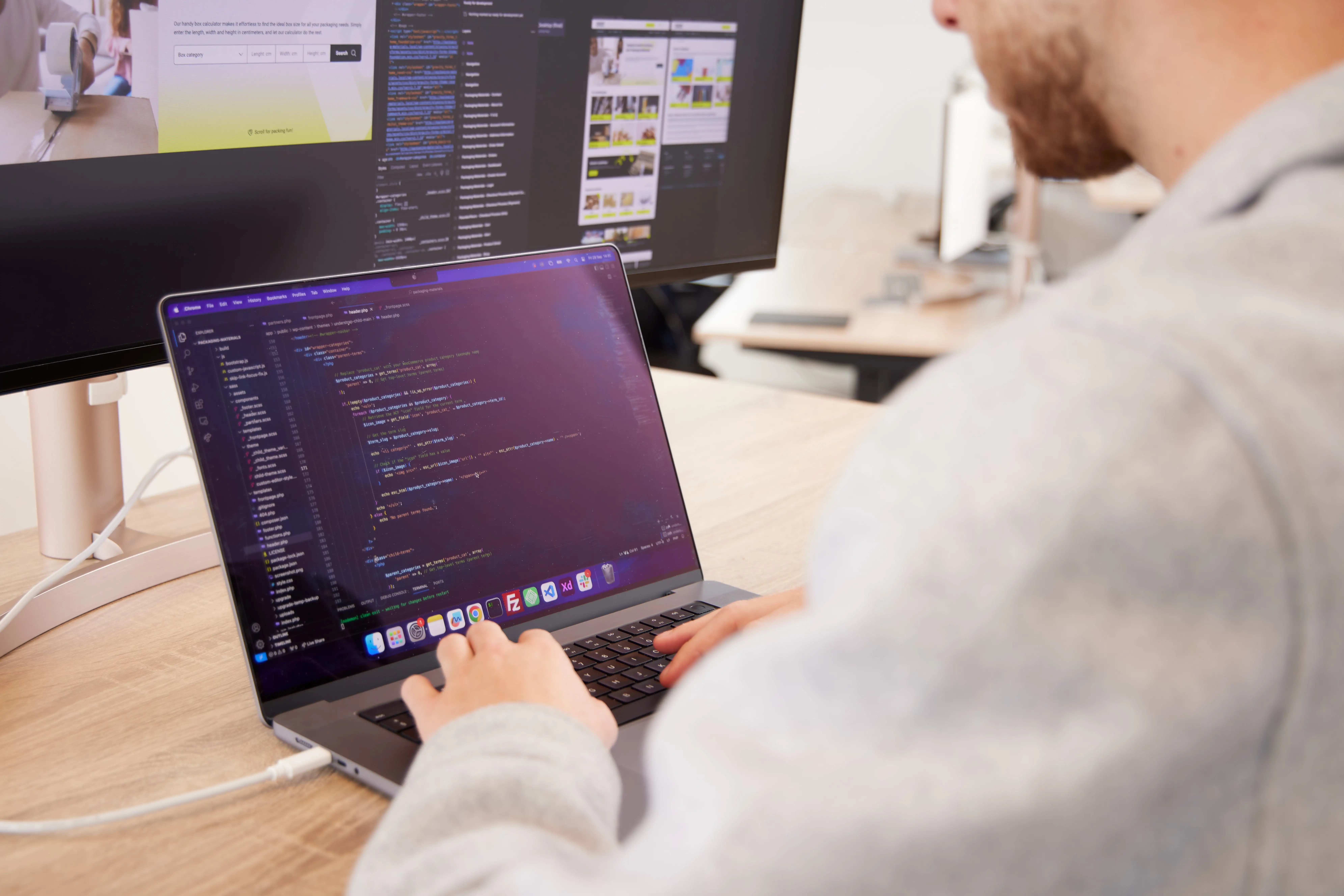 Mediabirds-development